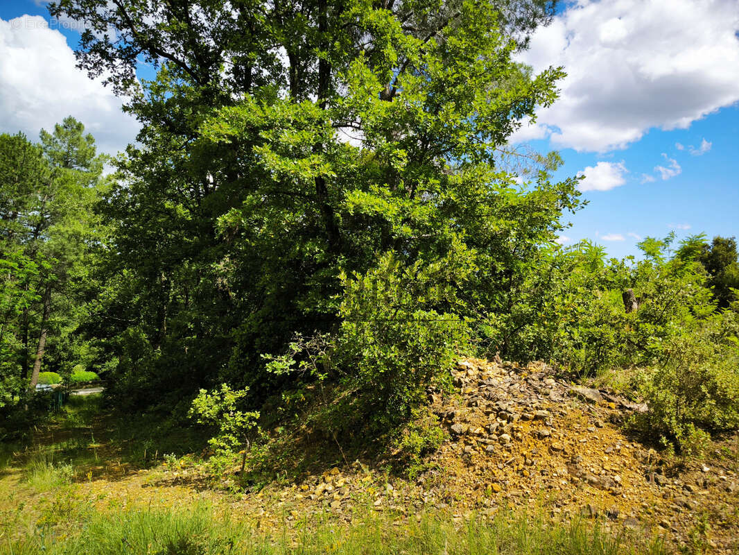 Terrain à UZES