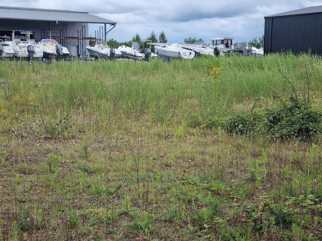 Terrain à SANGUINET