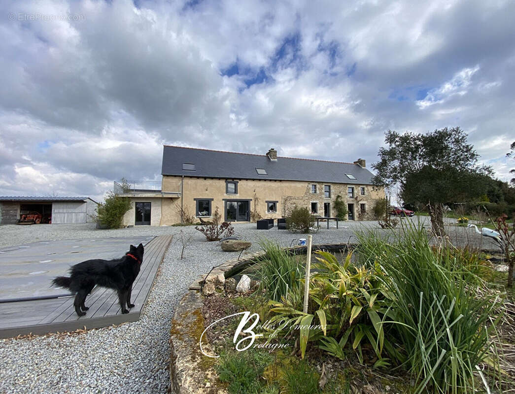 A vendre superbe longère de charme 3 hectares Piscine et Dépendance Morbihan - photo 2