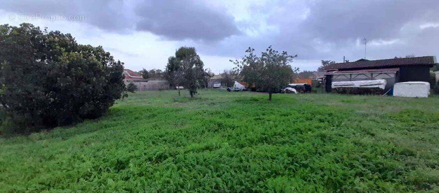 Terrain à GUJAN-MESTRAS