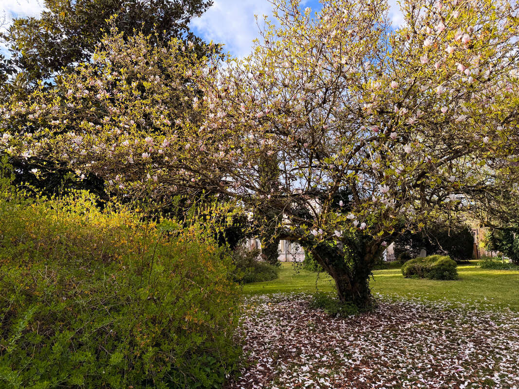 Maison à RAZAC-SUR-L'ISLE