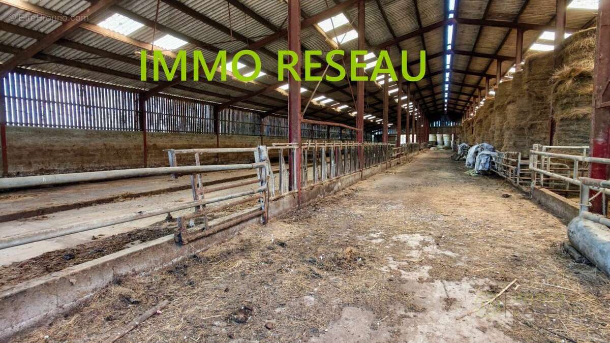Commerce 5500 m² à Saint-Hilaire-De-Riez  - photo 7
