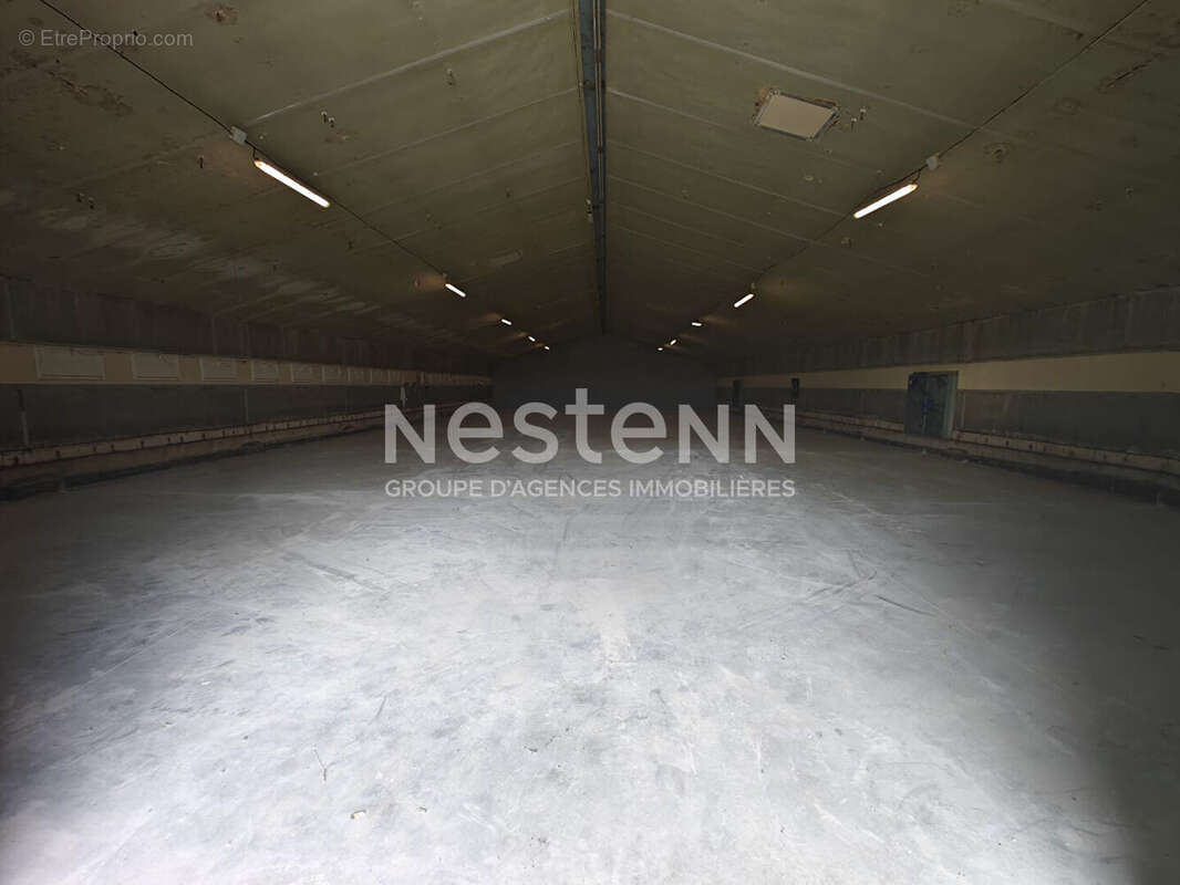 À vendre.  Ensemble de 4 cellules d'activités;  2 000 m² sur terrain de 8 000 m² - photo 4
