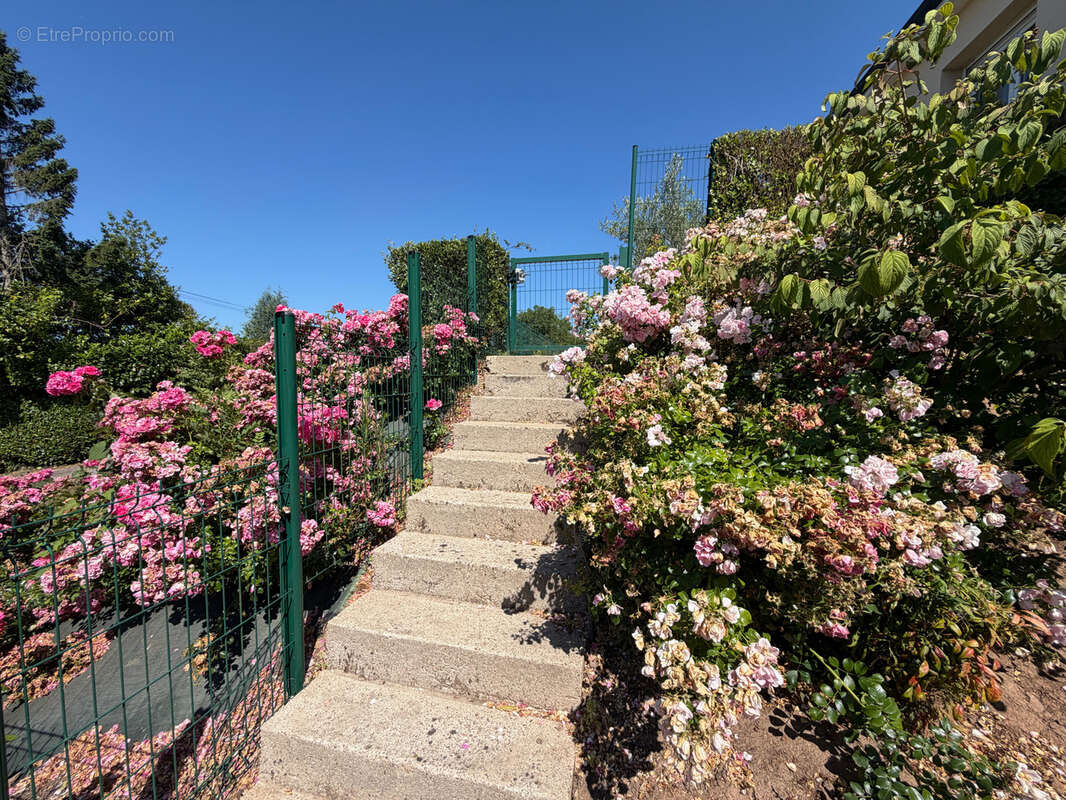 Pavillon sur cave - Lieusaint - photo 6