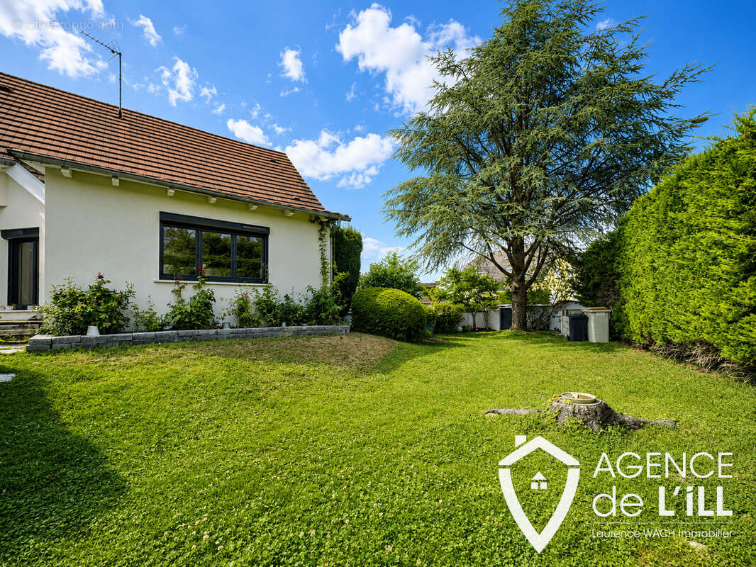 Maison individuelle au coeur du Ried Alsacien ! - photo 16
