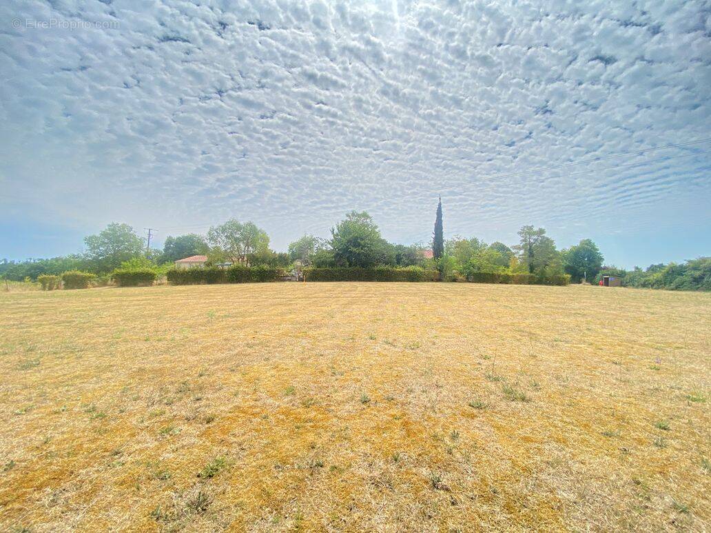 Terrain à LA BACHELLERIE