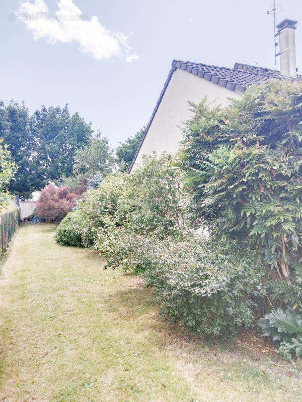 exclusivité - photo 5