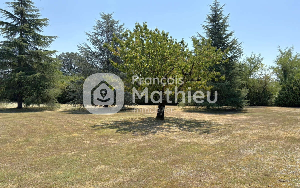 BLYES - Terrain constructible de 1253 m2 - photo 2