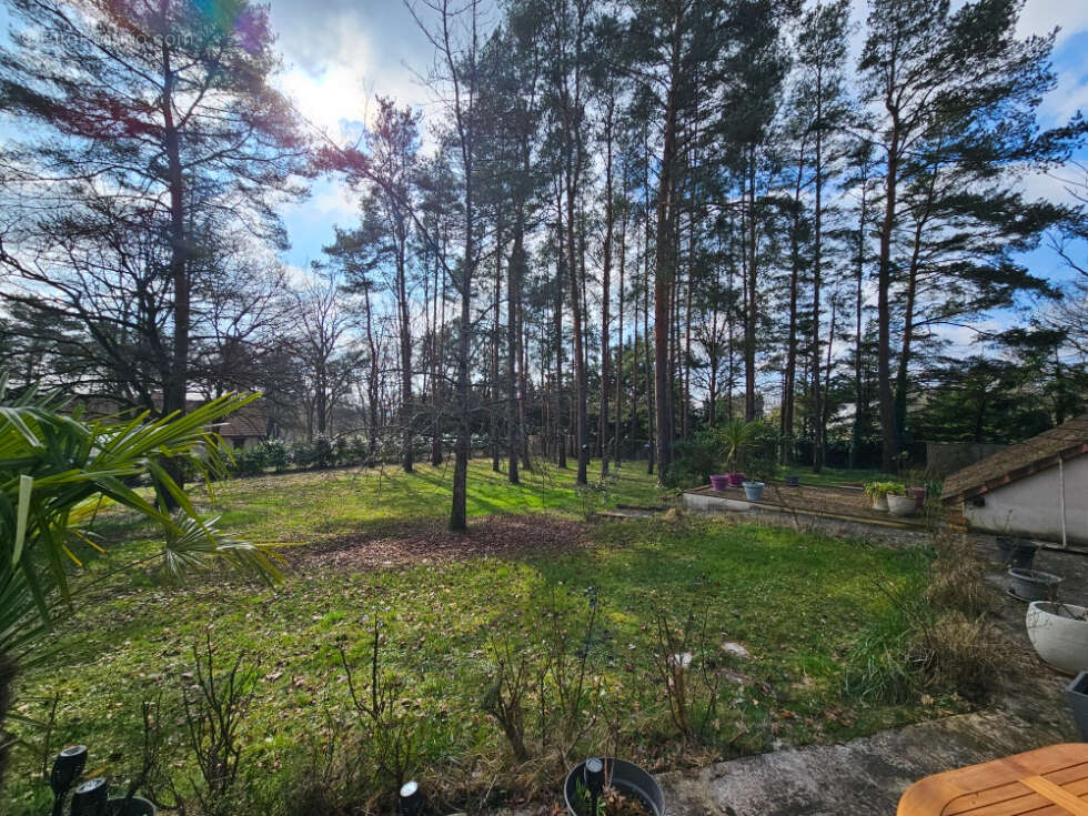 Maison à PRUNIERS-EN-SOLOGNE