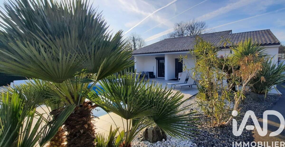 Photo 1 - Maison à SAINT-JEAN-D'ILLAC