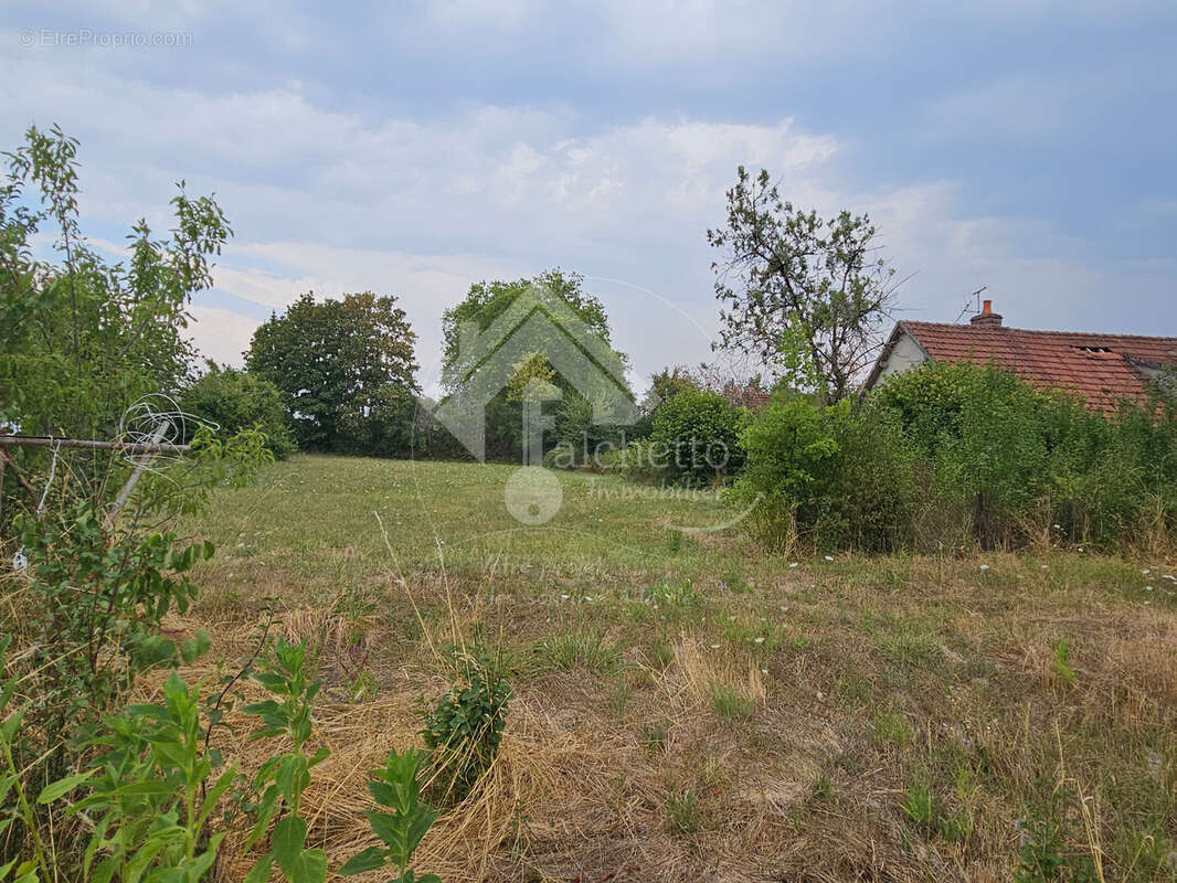 Terrain à Jaligny-sur-Besbre - photo 2