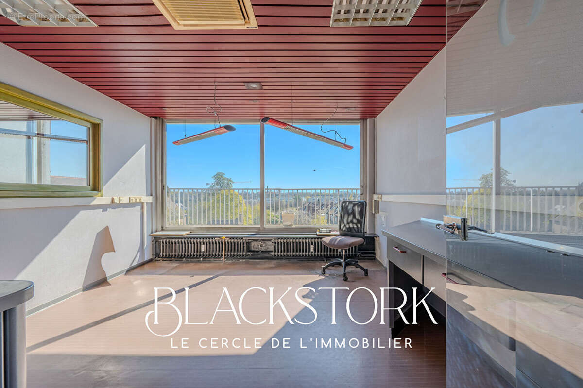 Local professionnel - strasbourg roberstau - vue degagee - photo 6