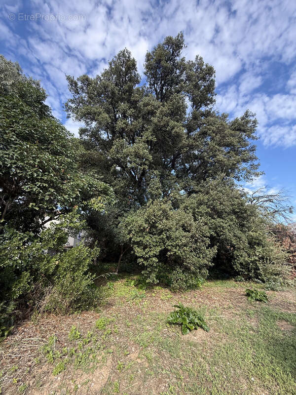 Appartement à LA CIOTAT