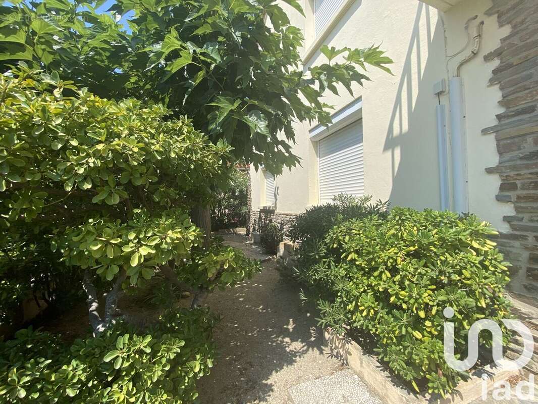 Photo 2 - Maison à LE BARCARES