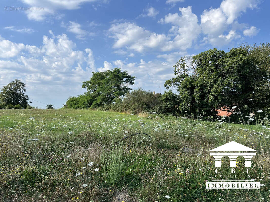 Terrain à SAINT-SERNIN-DU-BOIS