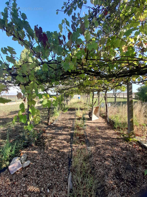 Maison à L'ILE-D'ELLE