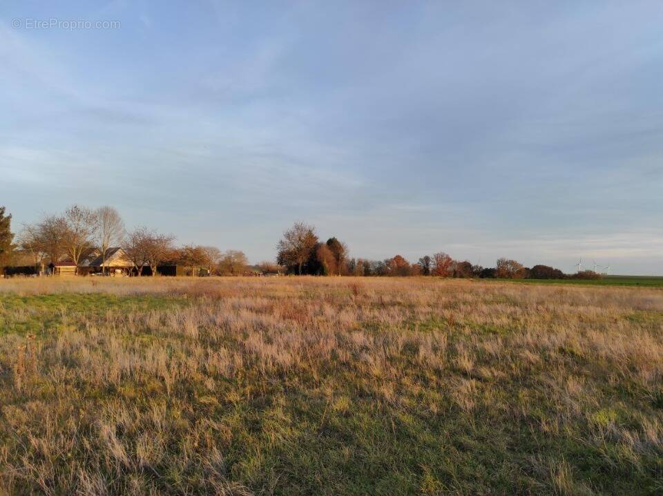 Terrain à PANILLEUSE