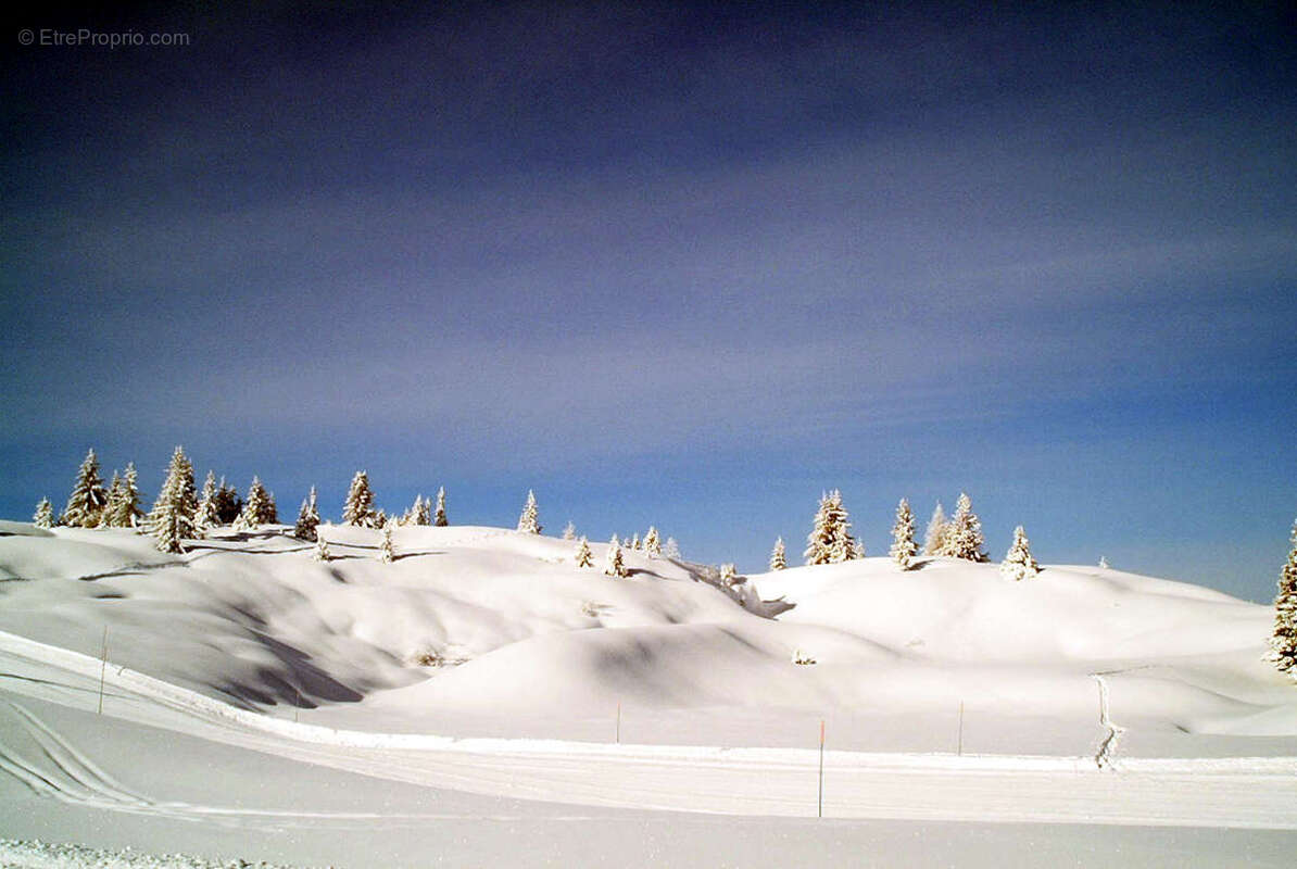 Commerce à CHAMONIX-MONT-BLANC