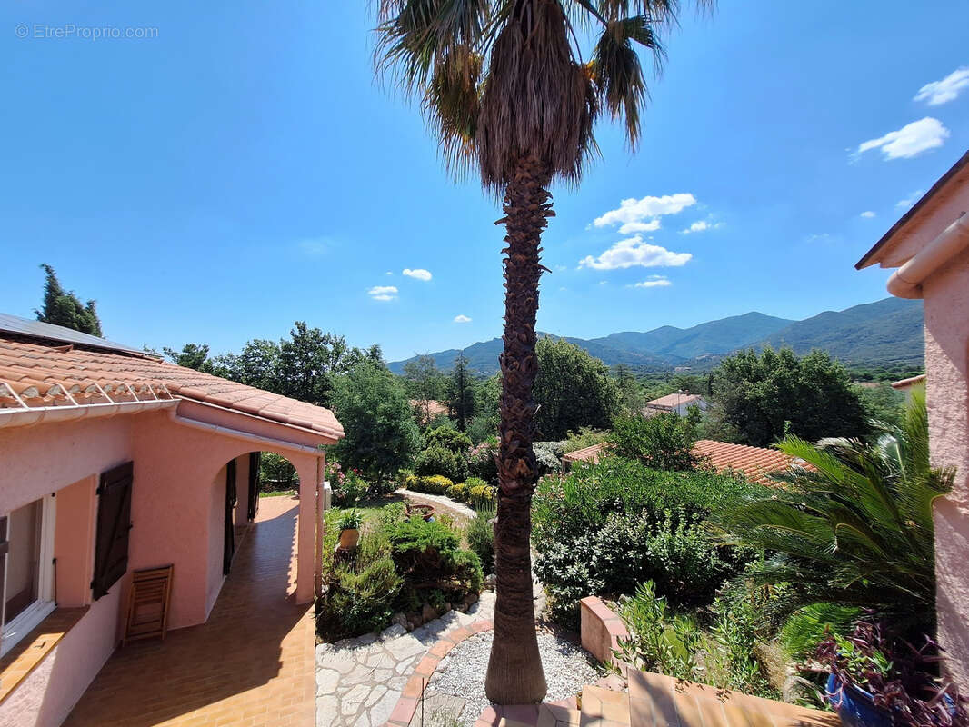 Maison à LAROQUE-DES-ALBERES