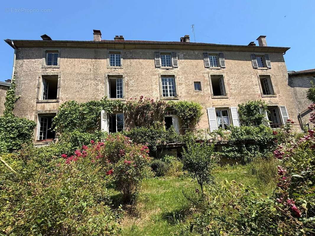 Magnifique manoir original dans un grand village avec toutes les commodités, situé au bord de la Saône - photo 2