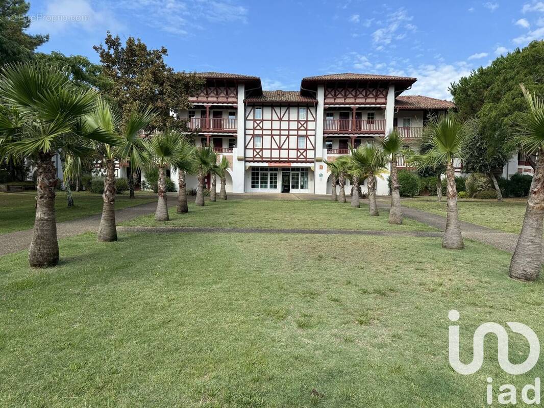 Photo 1 - Appartement à BISCARROSSE