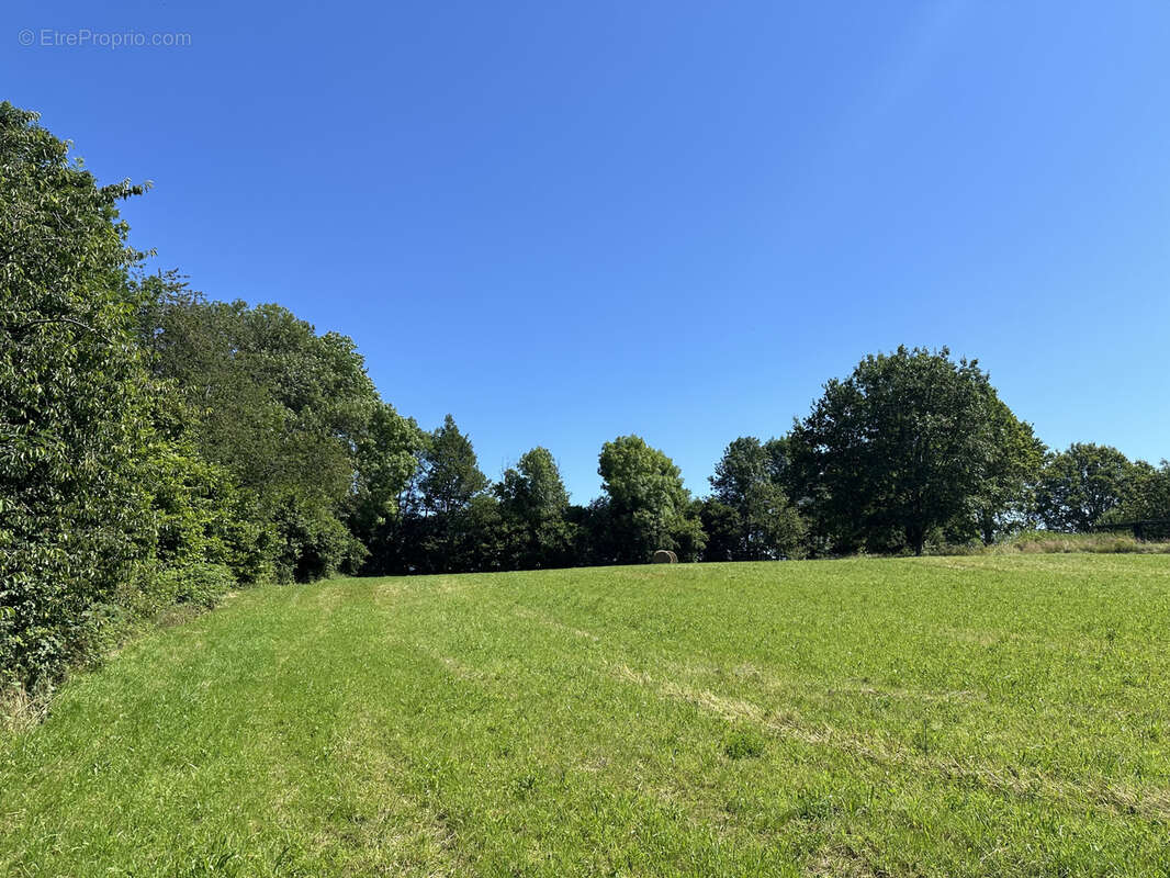 Terrain constructible de 6363 m2 sur la commune d'Uriménil - photo 5