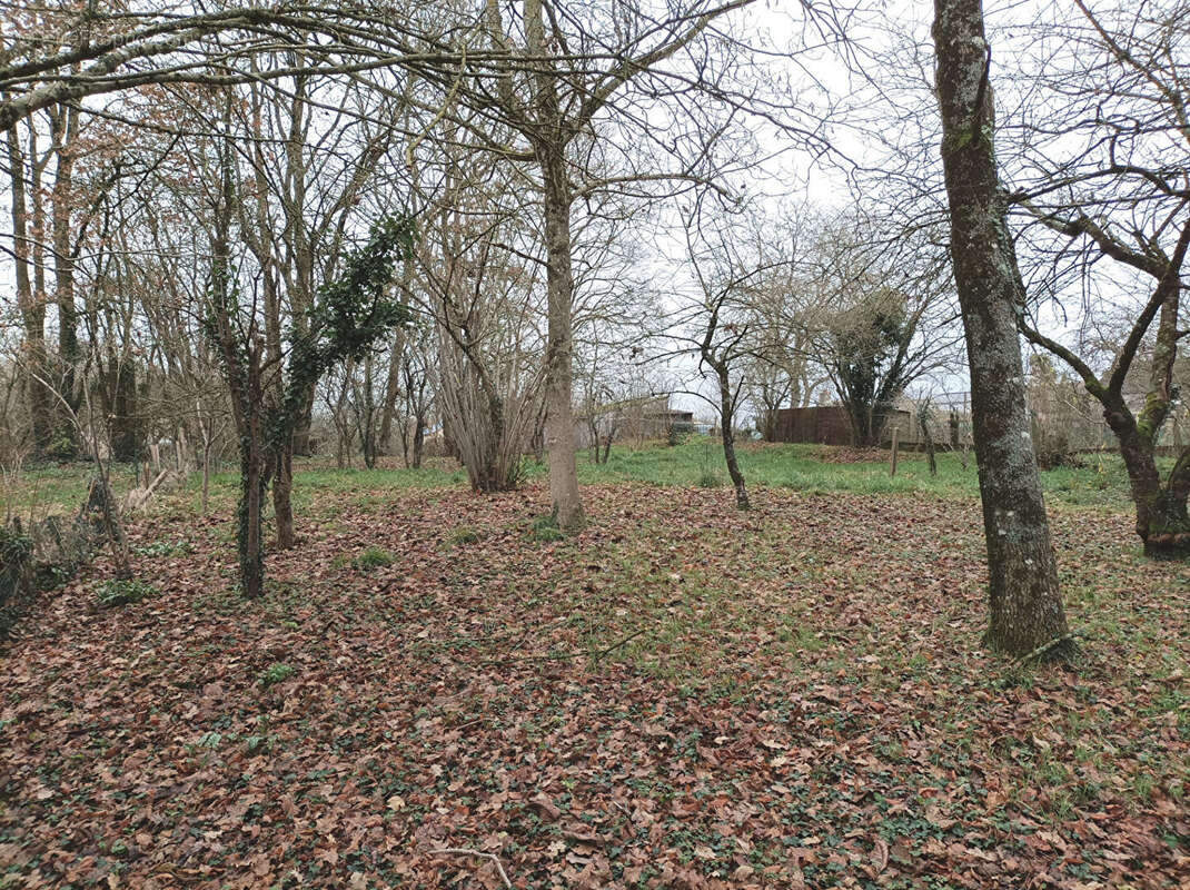 Terrain à MONTOURS