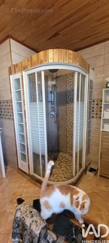 Photo 7 - Maison à SAINT-PIERRE