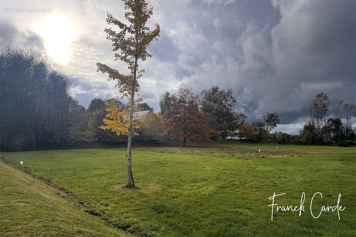 Terrain à DOUDEVILLE