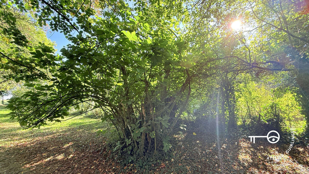 Terrain à OUZOUER-LE-MARCHE