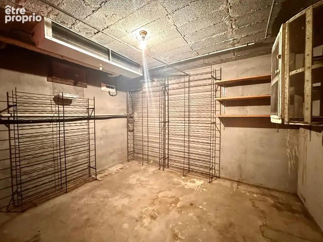 Maison individuelle à vendre 106 m², 3 chambres, sous-sol complet et terrain arboré de 2 000 m² - photo 12