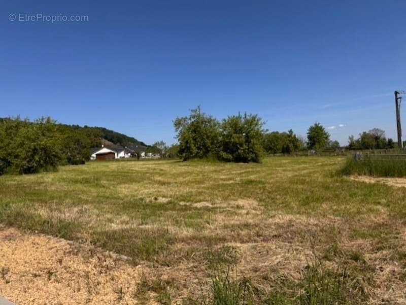 Terrain à BRANDEVILLE