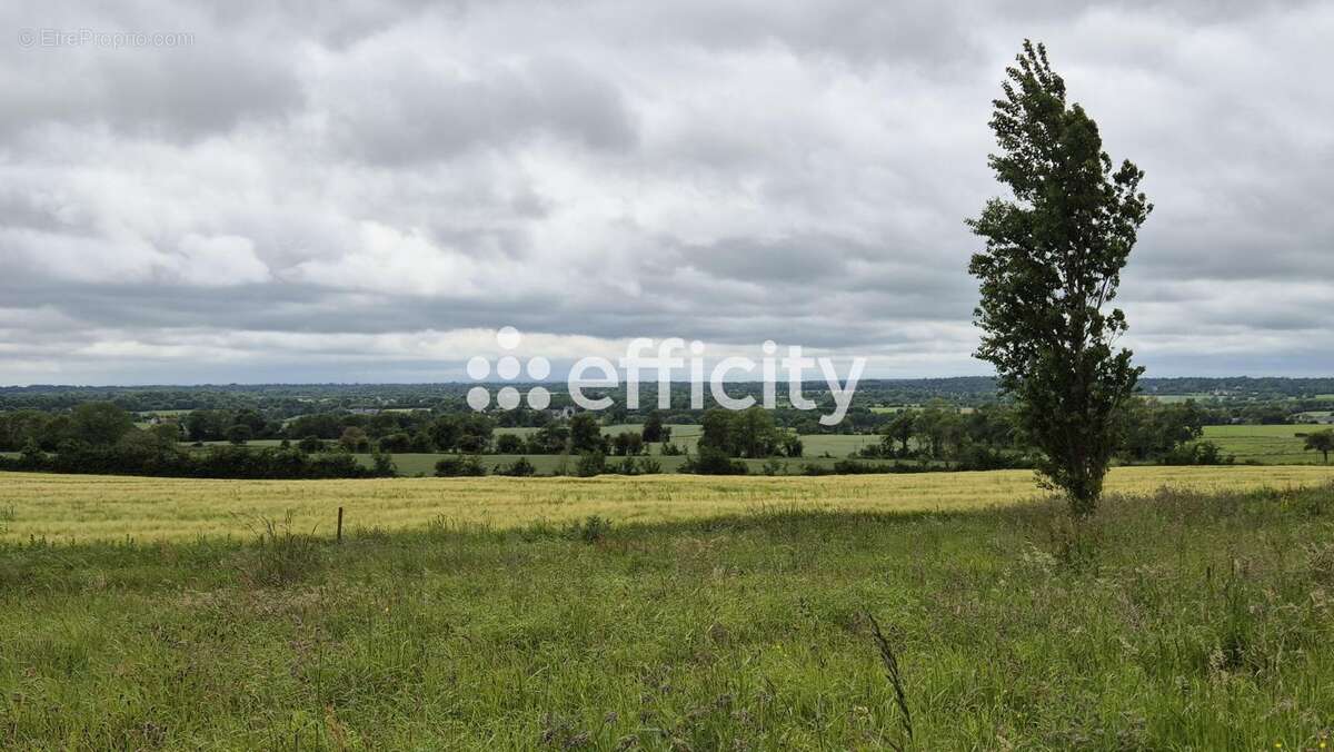 Terrain à SAINTE-HONORINE-DES-PERTES