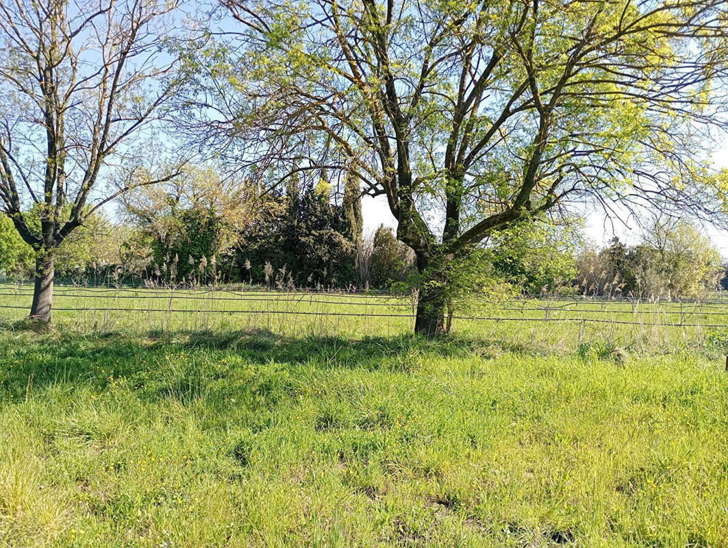 Terrain à LE PRADET