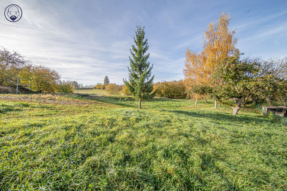 Maison à GONDRECOURT-LE-CHATEAU