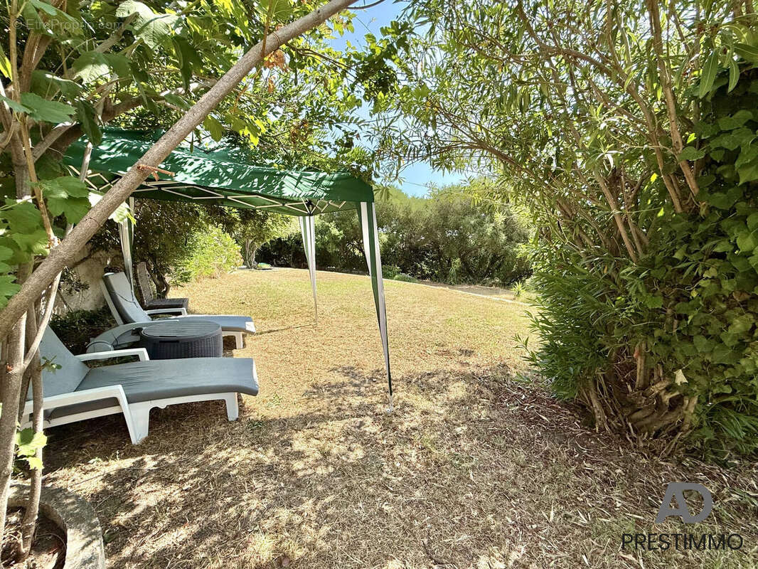 Maison 215 m² à San-Martino-Di-Lota  - photo 7