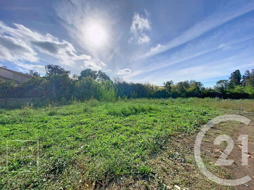 Terrain à TOULOUGES
