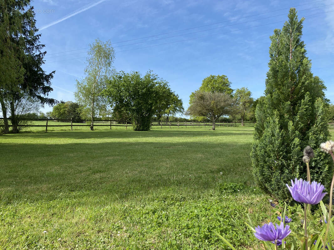 Maison à LE LION-D'ANGERS