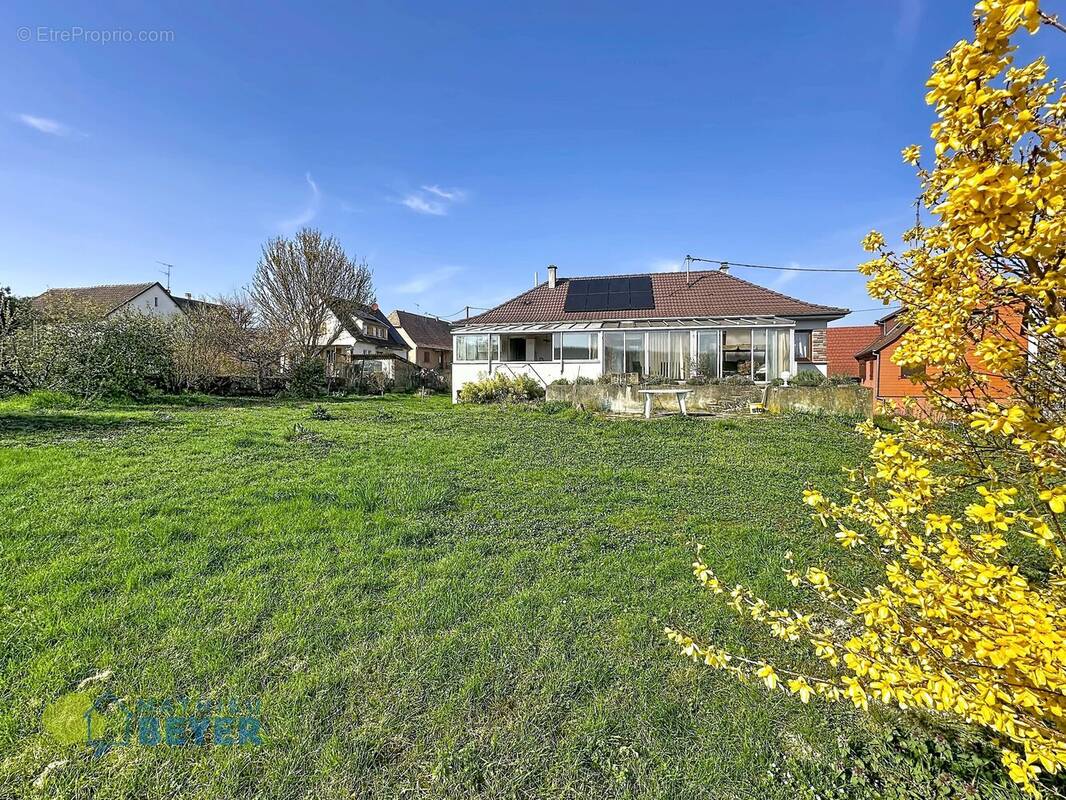 Maison à BEBLENHEIM