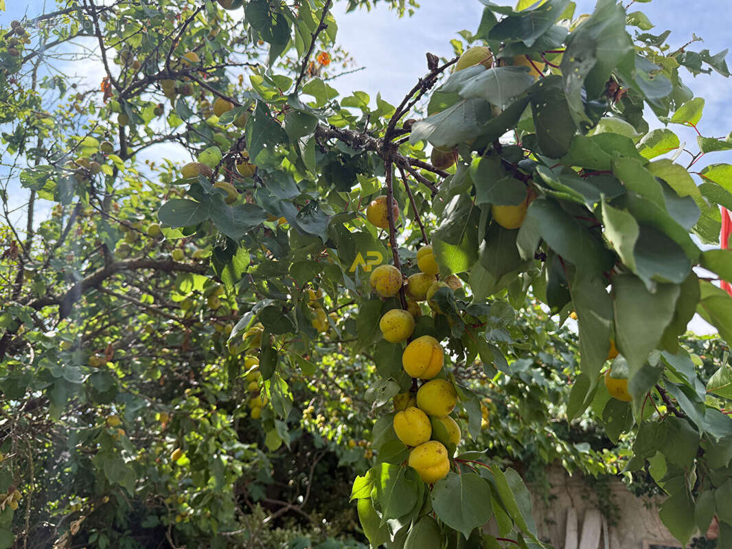 Terrain à CORMEILLES-EN-PARISIS