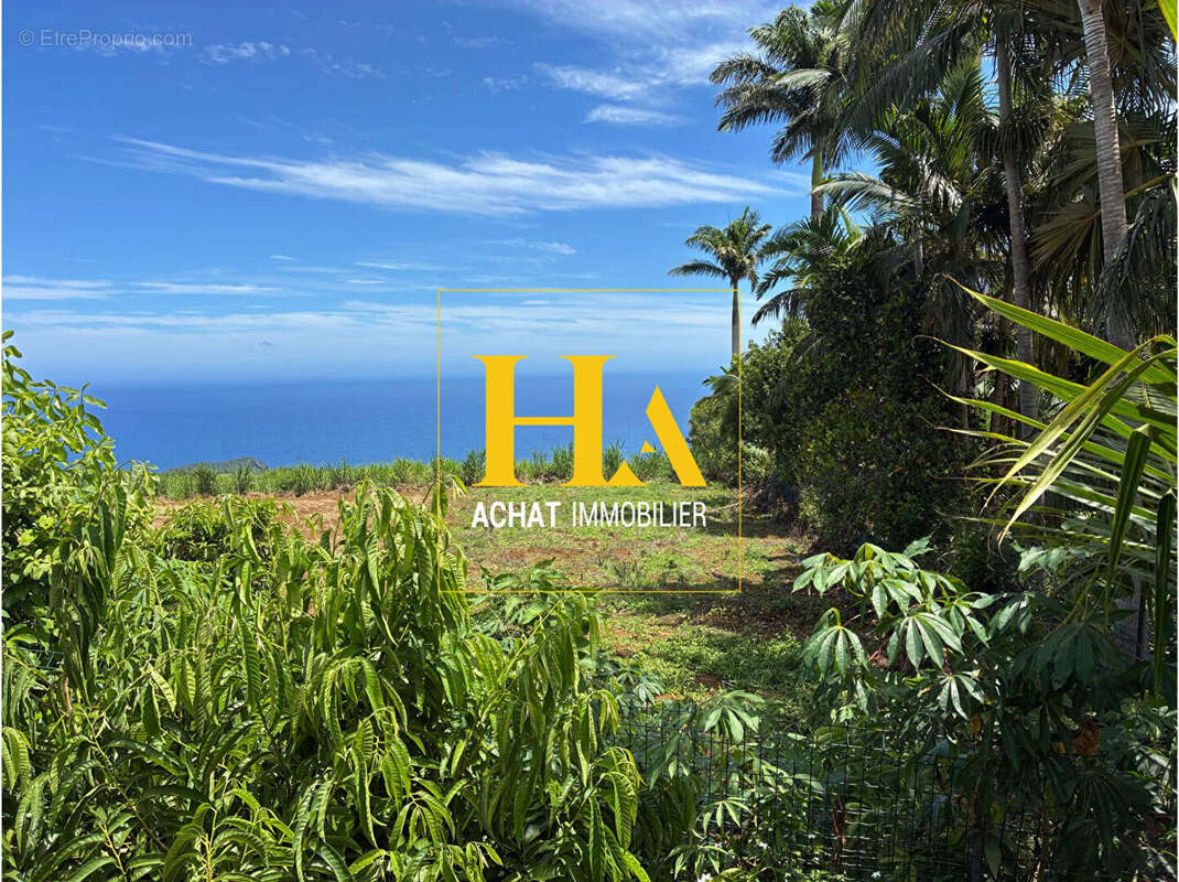 Maison à PETITE-ILE