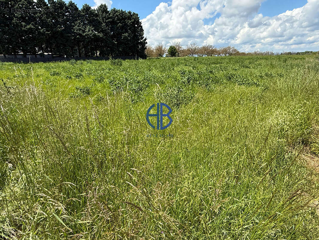 Terrain à VIRIVILLE