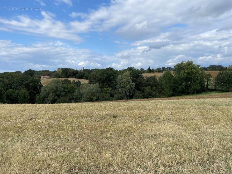 Terrain à MONTFA