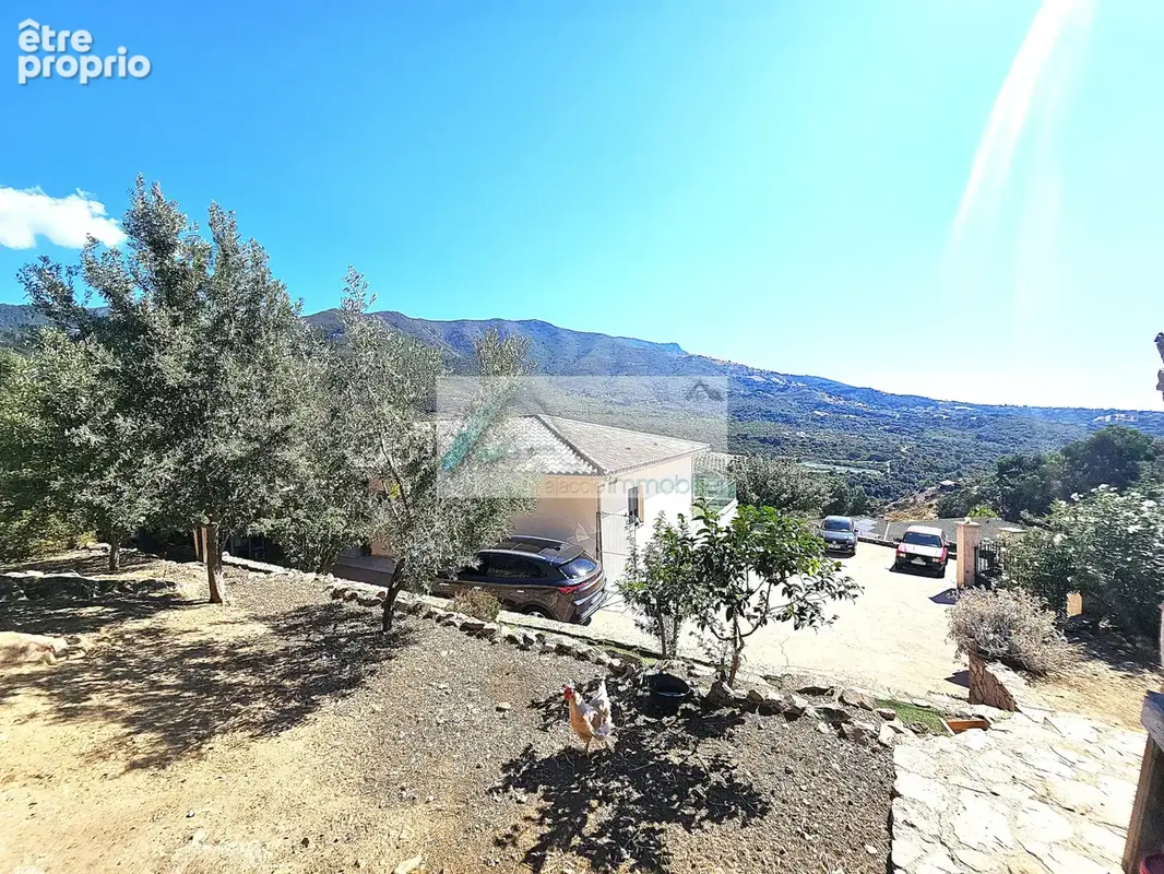 VILLA avec vue panoramique sur la vallée de la Gravona - photo 11