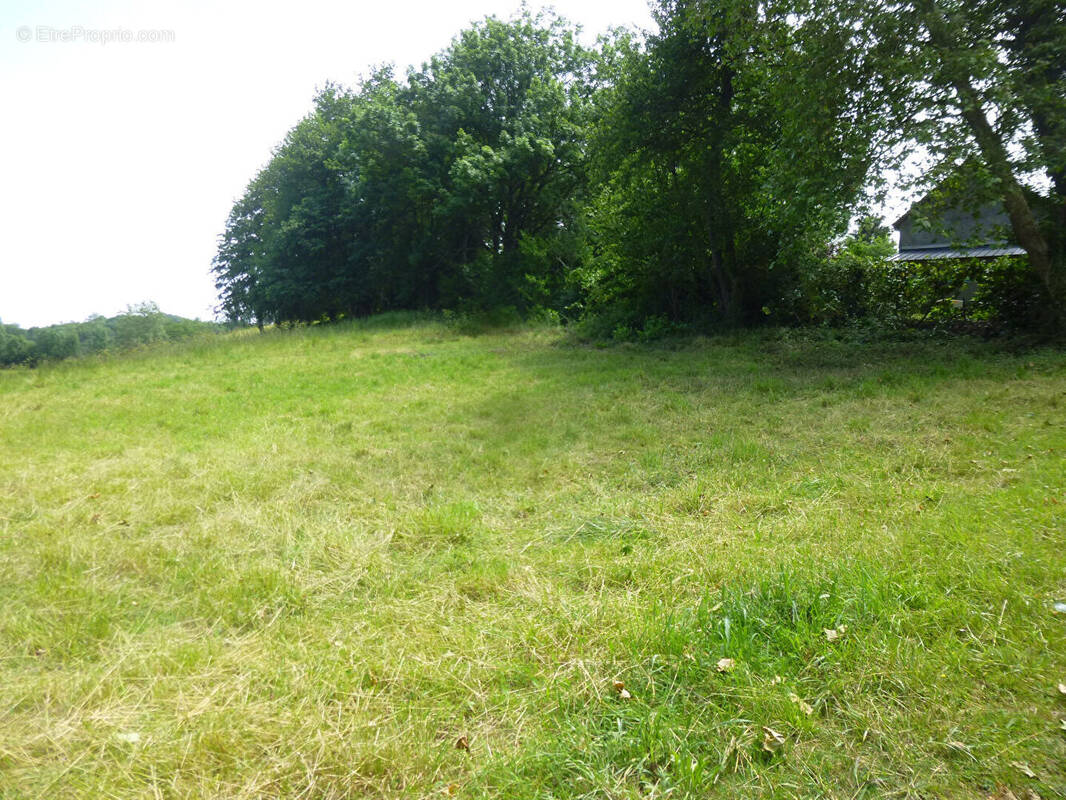 Terrain à ARTIGUELOUTAN
