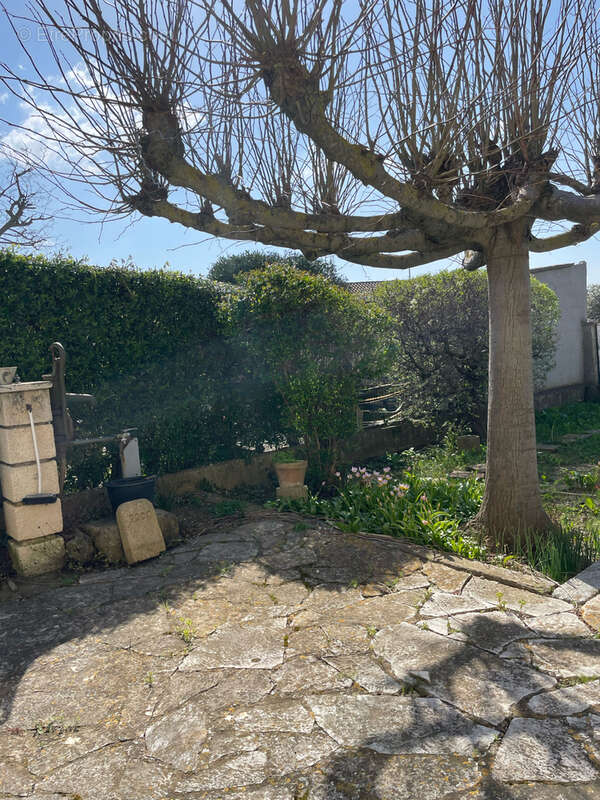 Maison à LUC-SUR-ORBIEU