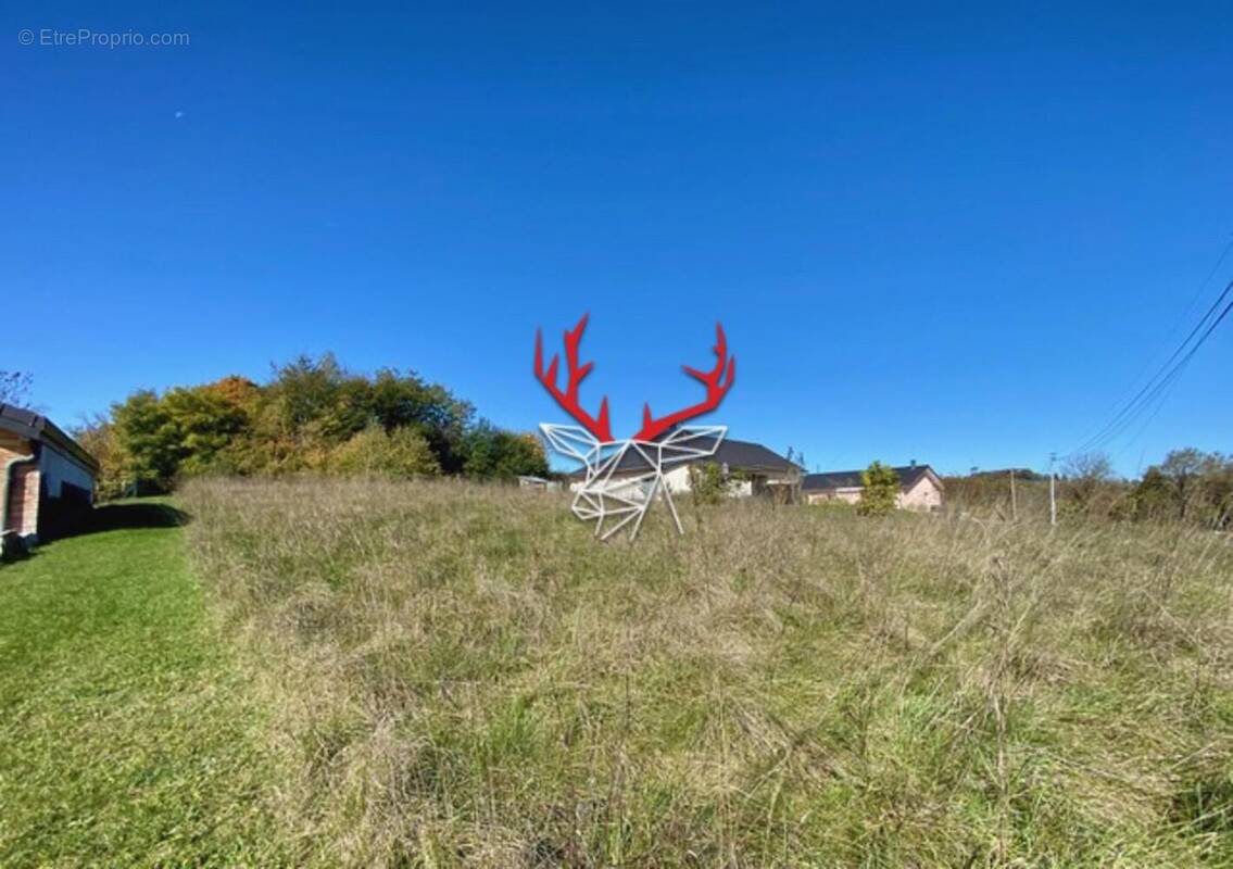 Photo 1 - Terrain à HAUTEVILLE-LOMPNES