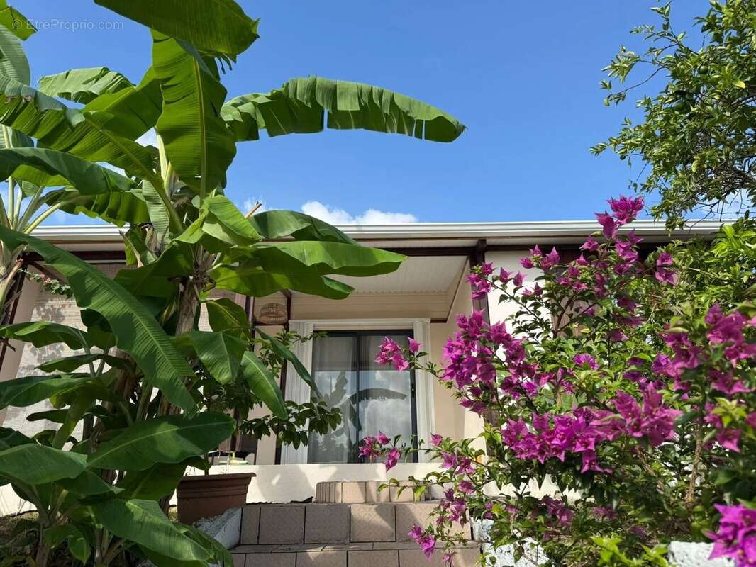 Maison à RIVIERE-SALEE