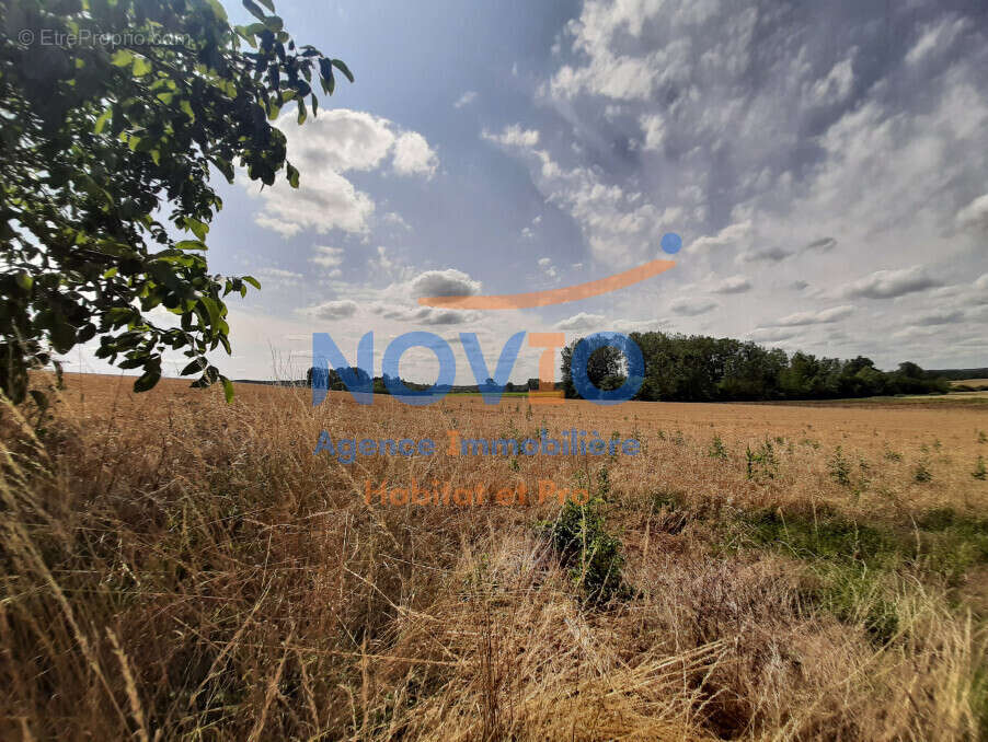 Maison à COLOMBIERS