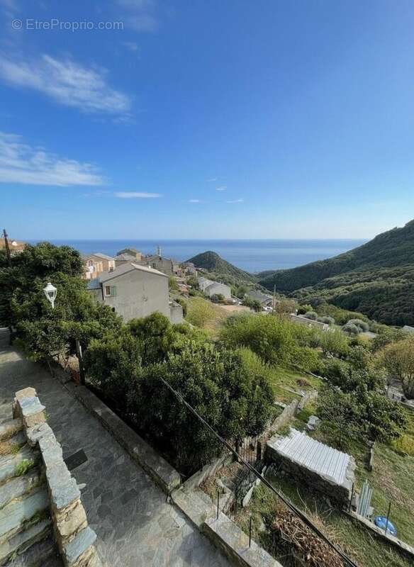 Photo 7 - Maison à SAN-MARTINO-DI-LOTA